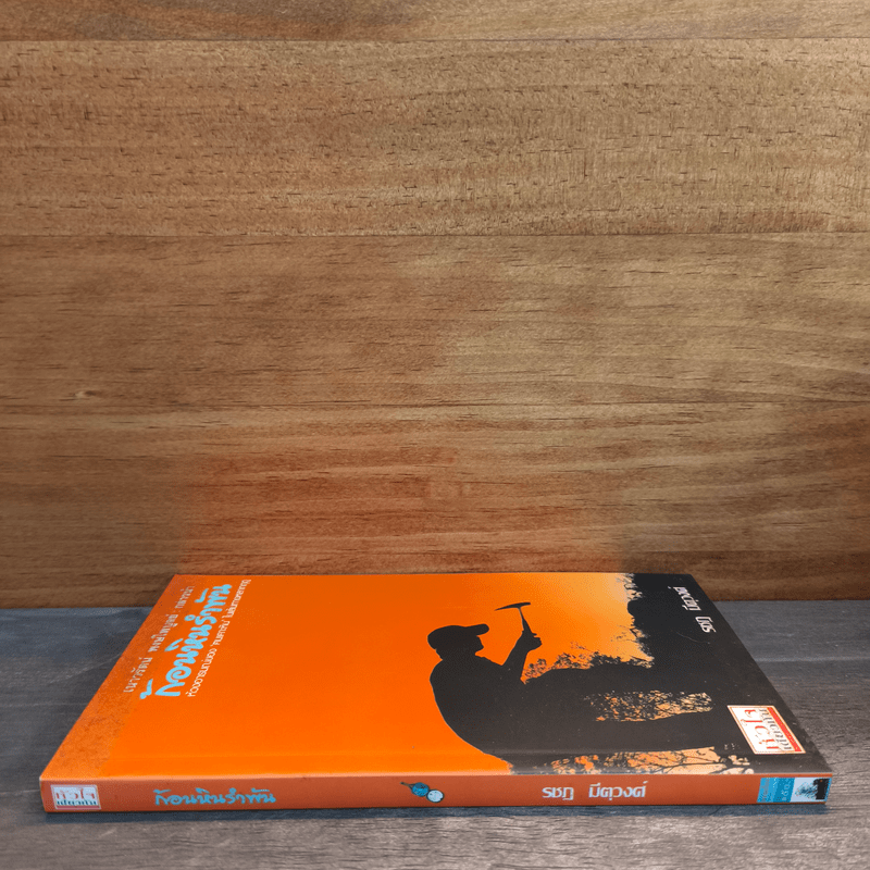 ก้อนหินรำพัน - รชฏ มีตุวงศ์