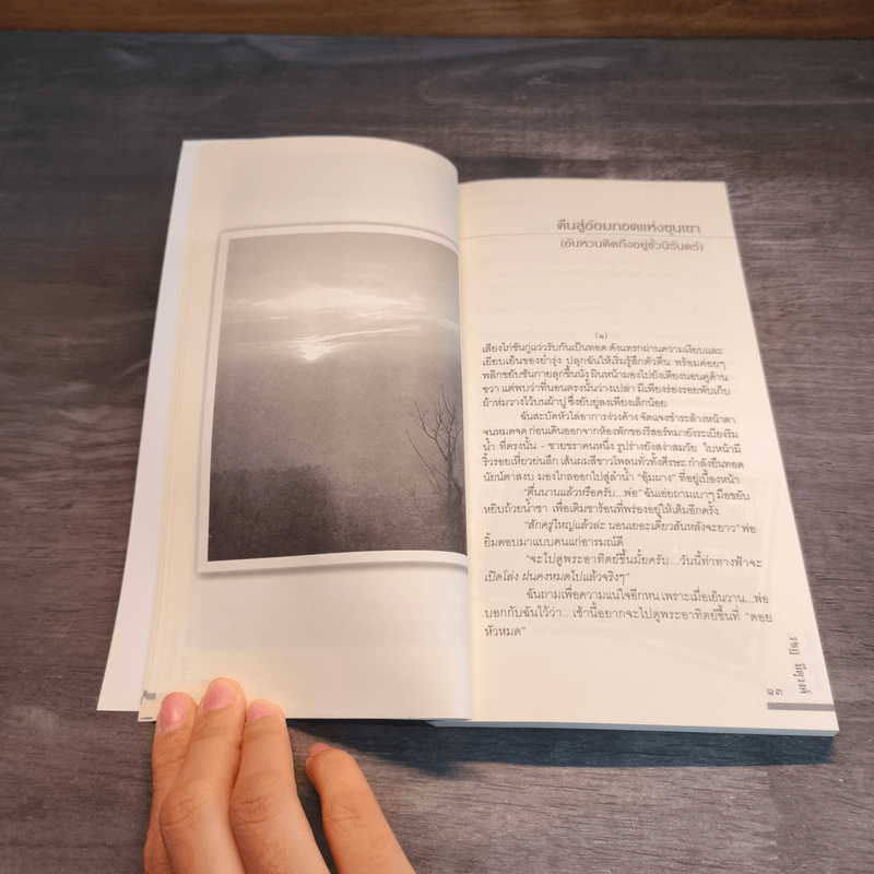 ก้อนหินรำพัน - รชฏ มีตุวงศ์