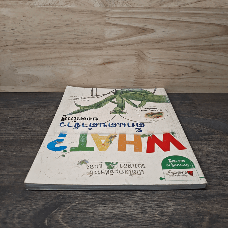 What? ตั๊กแตนตำข้าว ยอดนักสู้