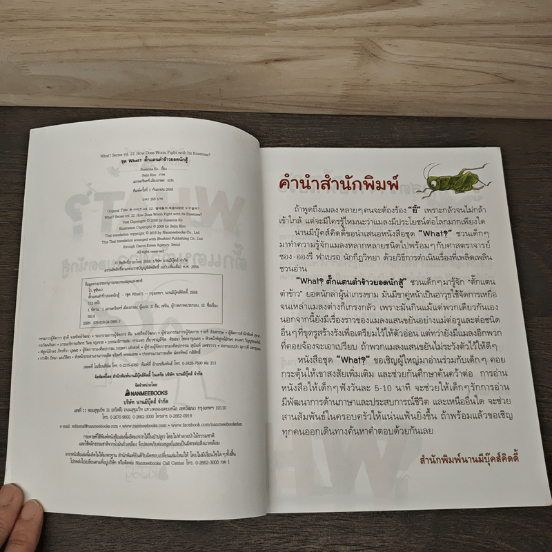 What? ตั๊กแตนตำข้าว ยอดนักสู้