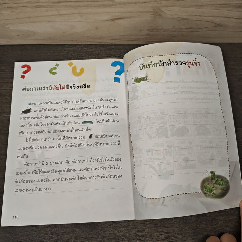 What? ตั๊กแตนตำข้าว ยอดนักสู้