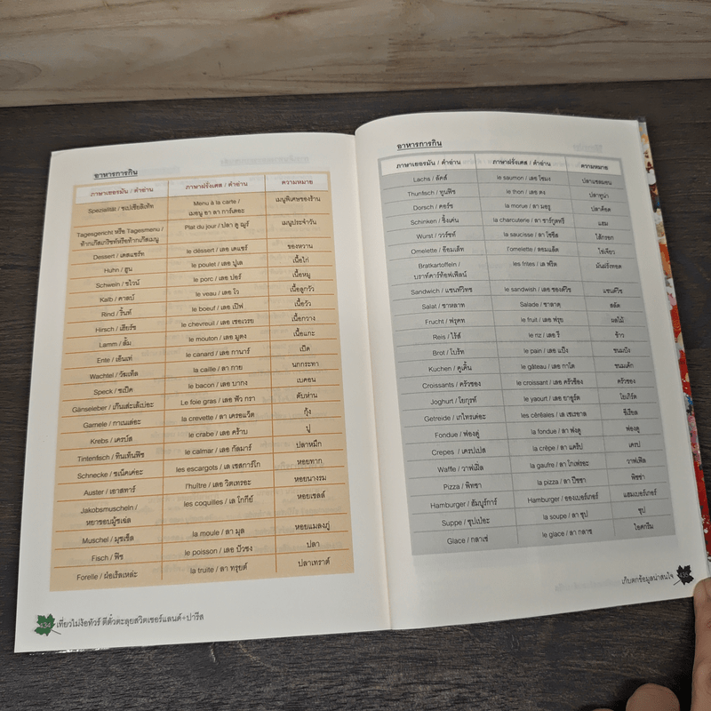 เที่ยวไม่ง้อทัวร์ ตีตั๋วตะลุยสวิตเซอร์แลนด์+ปารีส