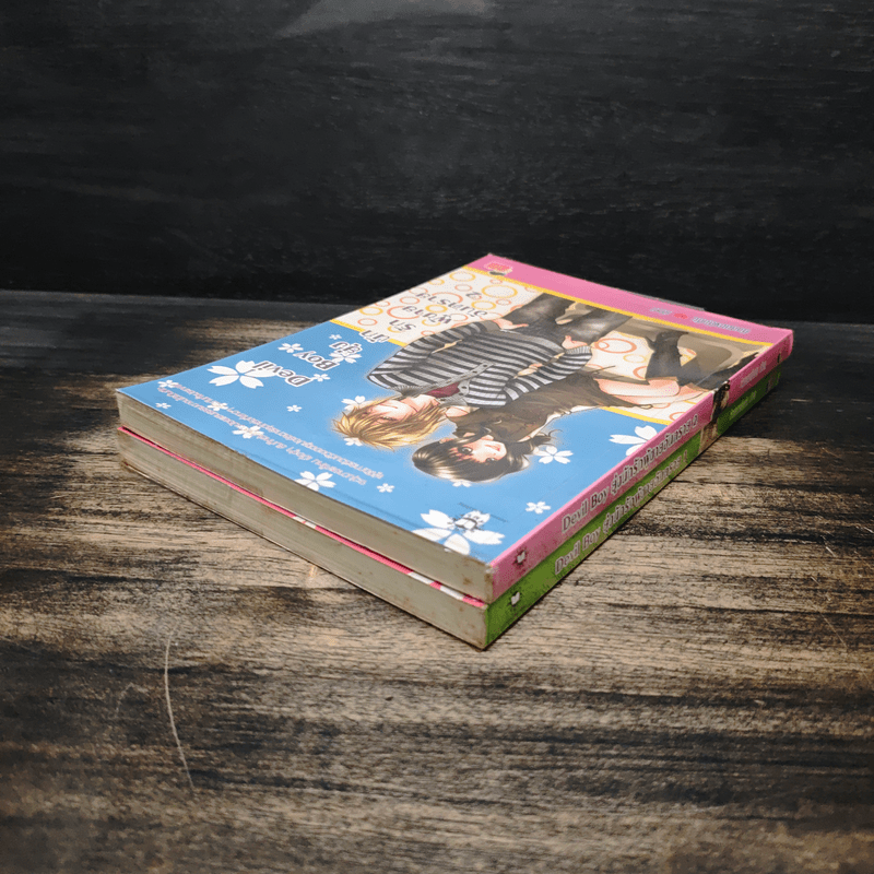 Devil Boy ยุ่งนักรักผู้ชายอันตราย 2 เล่มจบ - หัวสมองตีบตัน