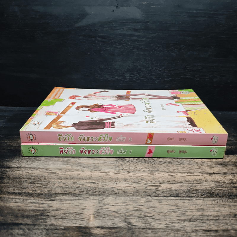 คีย์รัก จังหวะหัวใจ 2 เล่มจบ - ลูกชุบ