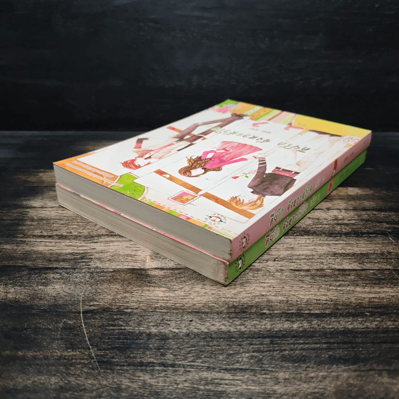 คีย์รัก จังหวะหัวใจ 2 เล่มจบ - ลูกชุบ