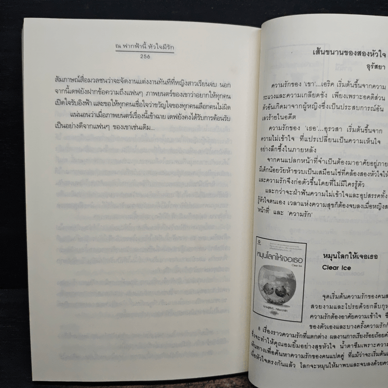 ณ ฟากฟ้านี้ หัวใจมีรัก - ณ มน