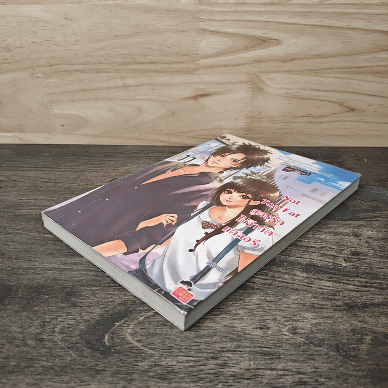 Not Too Fat สูตรรักไม่จำกัดแคลอรี - บิวบิว