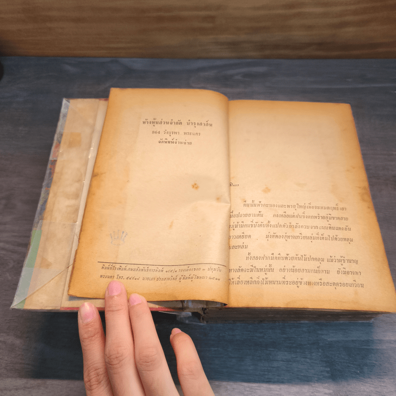 เชลยศักดิ์ - ดวงดาว