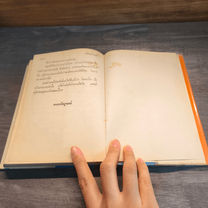 สนิมอารมณ์ - รจเรข