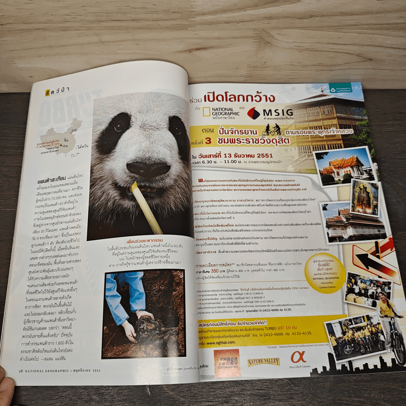 National Geographic ฉบับที่ 88 พ.ย.2551
