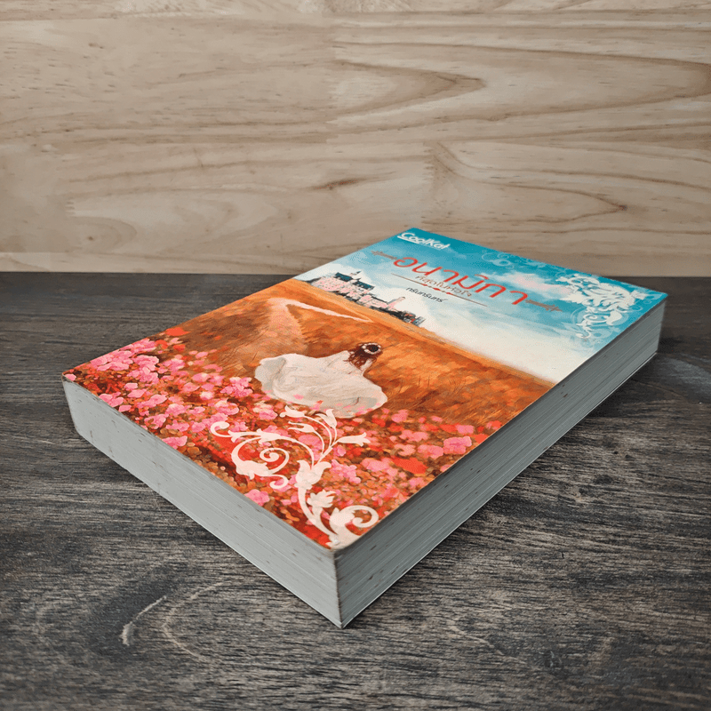 อนามิกา ที่สุดของหัวใจ - กรินกรินทร์