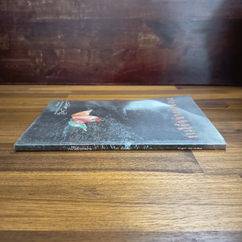 วางไว้อย่างง่ายงาม - วิสา คัญทัพ