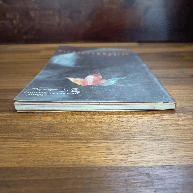 วางไว้อย่างง่ายงาม - วิสา คัญทัพ