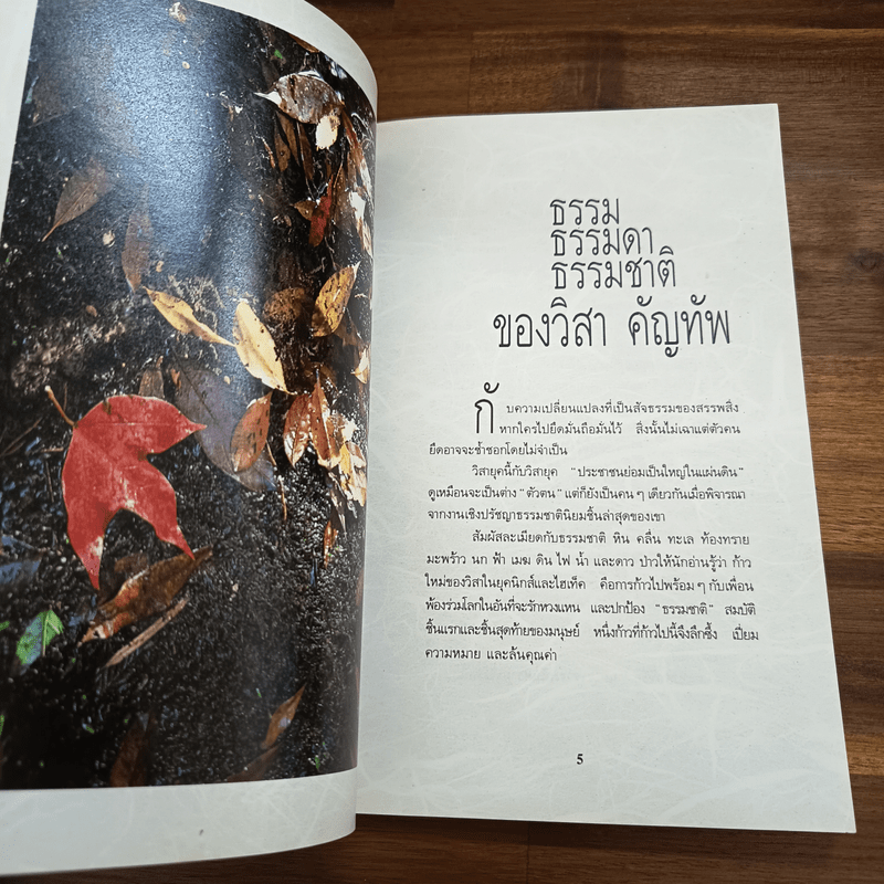 วางไว้อย่างง่ายงาม - วิสา คัญทัพ