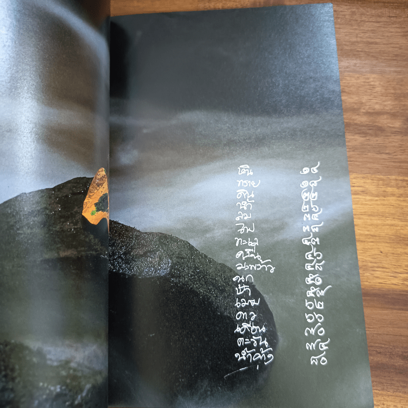 วางไว้อย่างง่ายงาม - วิสา คัญทัพ