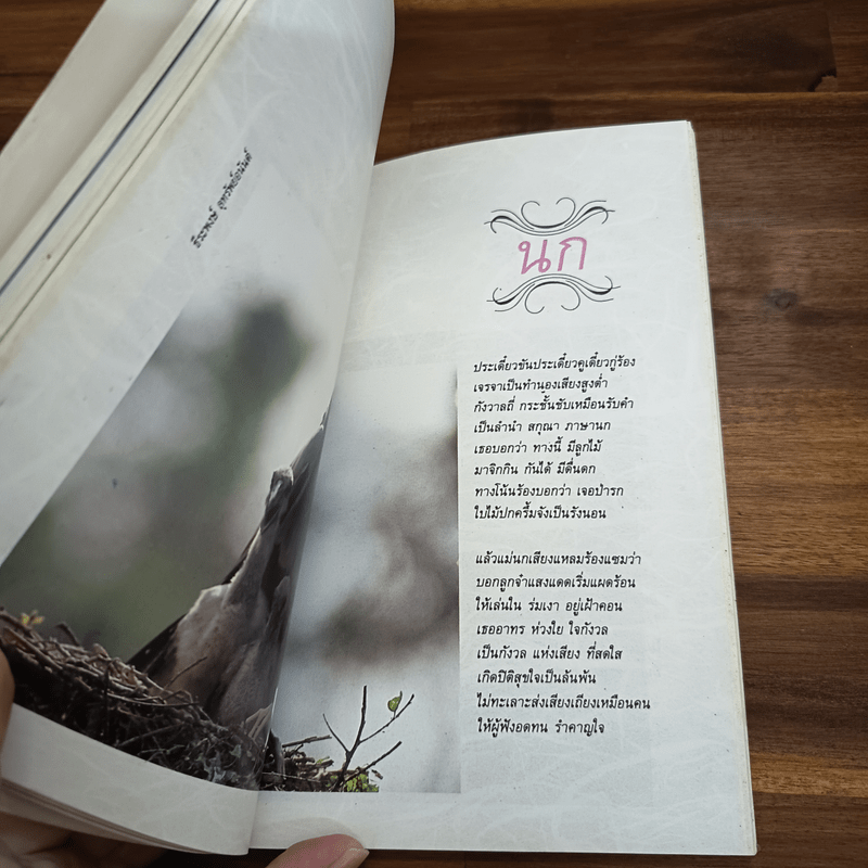 วางไว้อย่างง่ายงาม - วิสา คัญทัพ