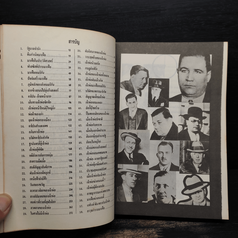 การเมืองทมิฬ ตอน มาเฟียปล้นชาติ - ทวีป วรดิลก