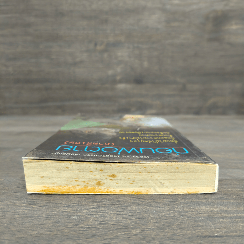 ก่อนพ่อตาย (ภาคพิเศษ) - ชาย กิตติคุณาภรณ์