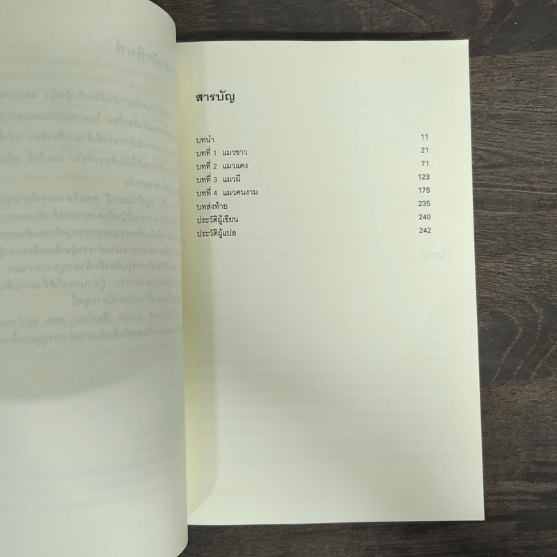 มิเกะเนะโกะ โฮล์มส์ : แมวสามสียอดนักสืบ ตอน 3 หมู่บ้านแมวผี