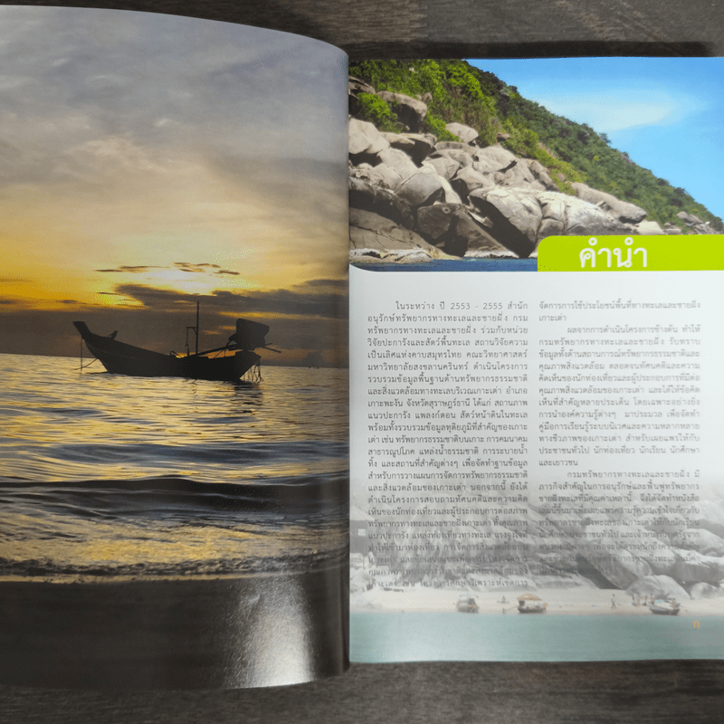 เกาะเต่า คู่มือความหลากหลายของสิ่งมีชีวิตทางทะเลและชายฝั่ง จ.สุราษฎร์ธานี