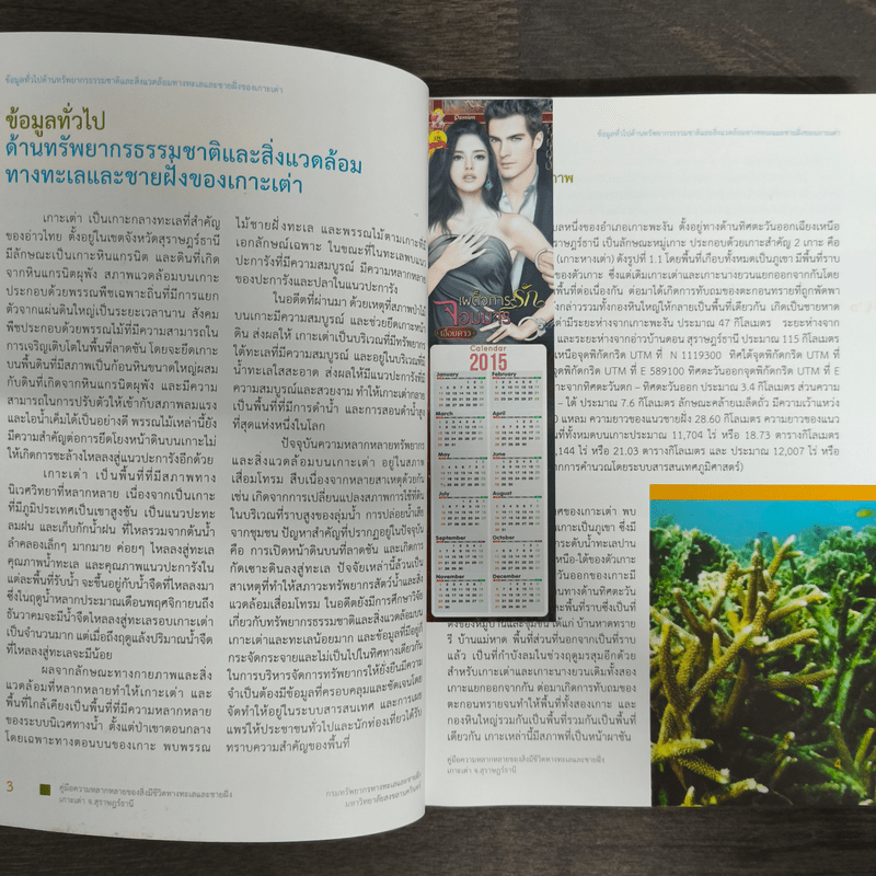 เกาะเต่า คู่มือความหลากหลายของสิ่งมีชีวิตทางทะเลและชายฝั่ง จ.สุราษฎร์ธานี