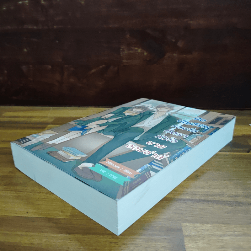 ปิดบัญชีรักแสบใสตีตราหัวใจนายจอมซ่าส์