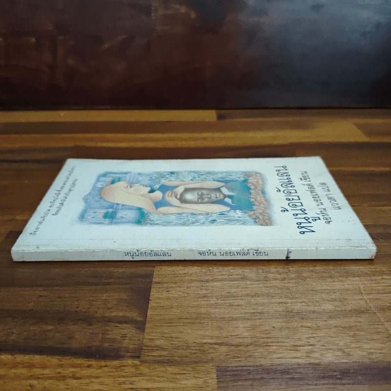 หนูน้อยอัลแลน - จอห์น นอยเฟลด์