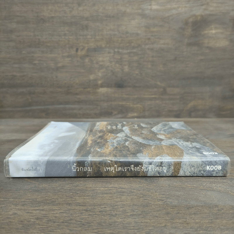 เหตุใดเราจึงยังมีชีวิตอยู่ - นิ้วกลม