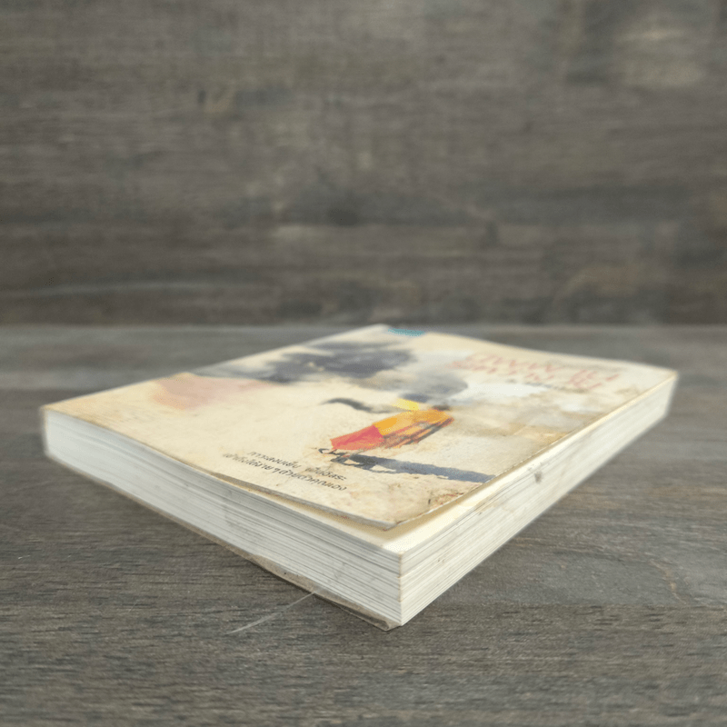 นิพพานระหว่างวัน - ว.วชิรเมธี