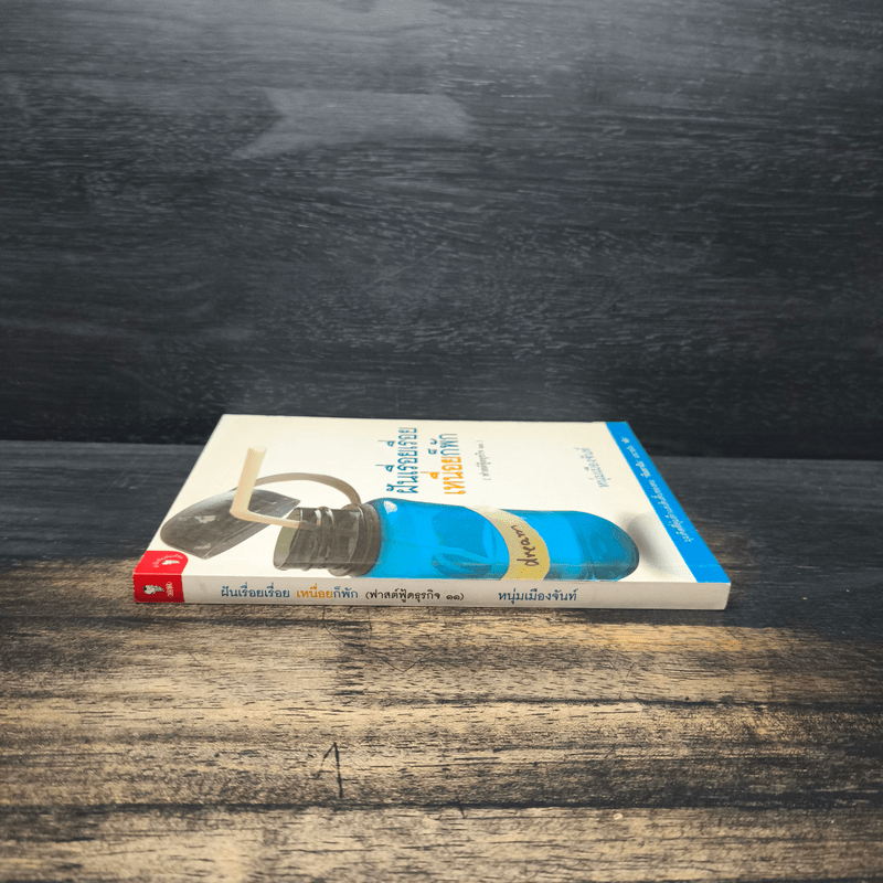 ฝันเรื่อยเรื่อย เหนื่อยก็พัก (ฟาสต์ฟู้ดธุรกิจ 11) - หนุ่มเมืองจันท์