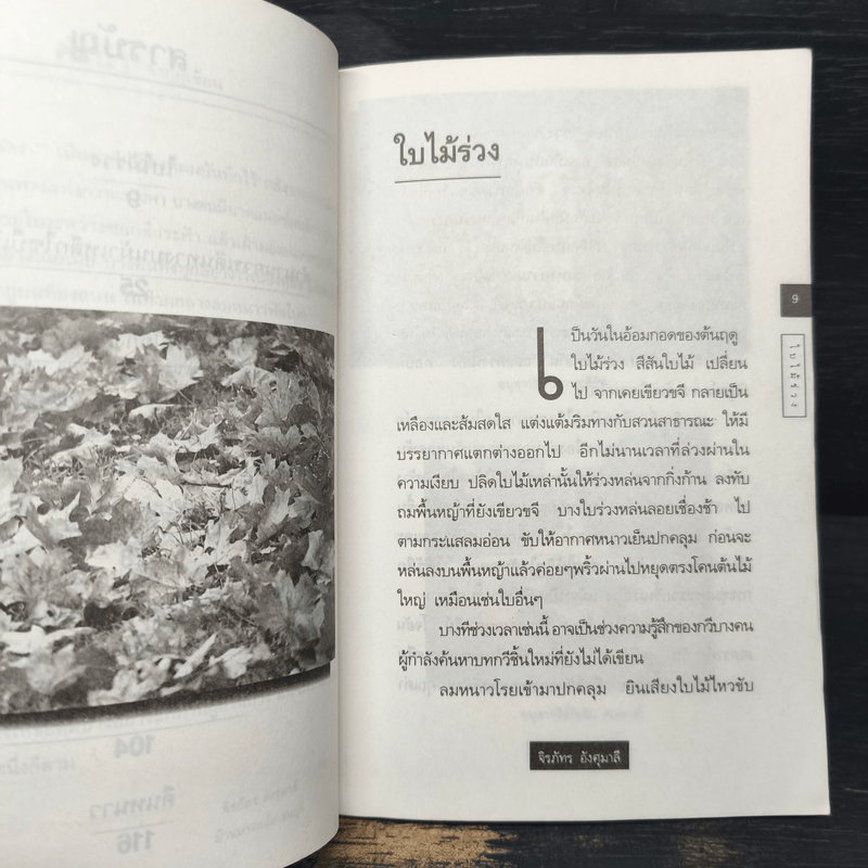 ใบไม้ร่วง - จิรภัทร อังศุมาลี