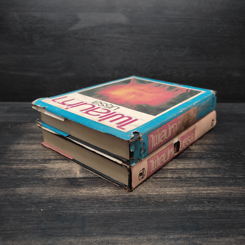 ไฟเสน่หา 2 เล่มจบ - มธุรส