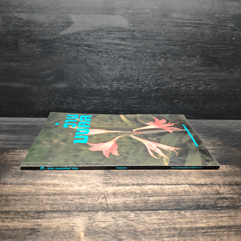 ว่านมงคล - ชมรมพัฒนาไม้ดอกไม้ประดับ