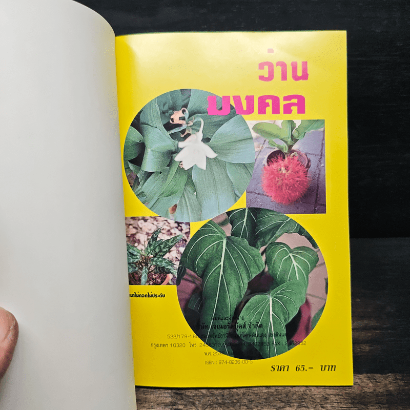 ว่านมงคล - ชมรมพัฒนาไม้ดอกไม้ประดับ