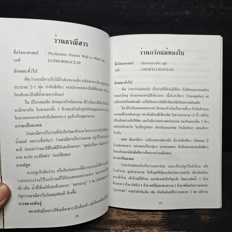 ว่านมงคล - ชมรมพัฒนาไม้ดอกไม้ประดับ