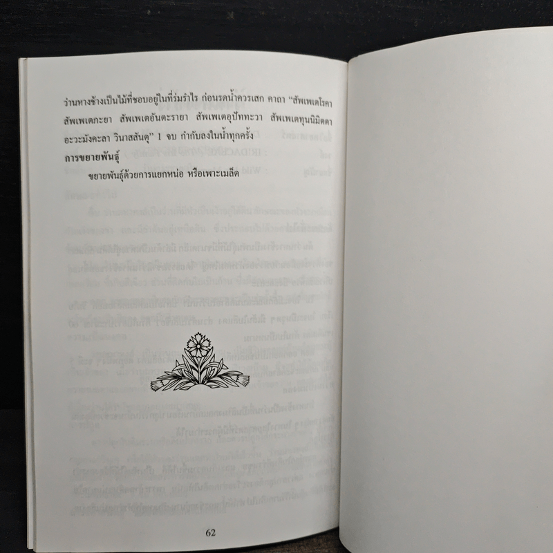 ว่านมงคล - ชมรมพัฒนาไม้ดอกไม้ประดับ