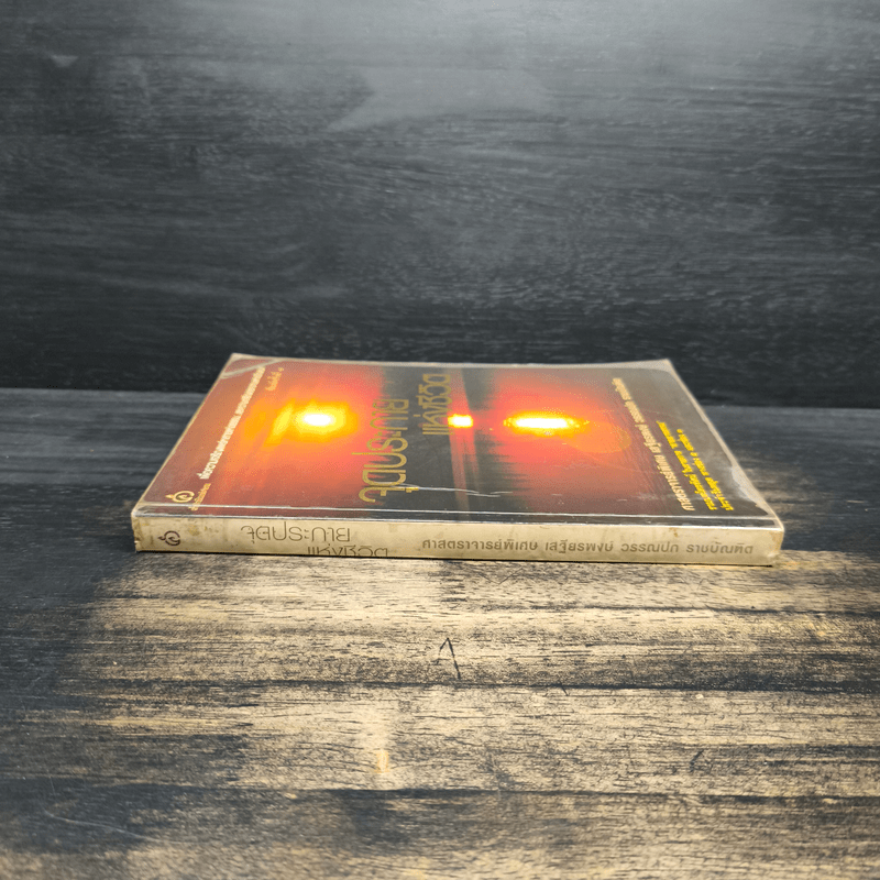 จุดประกายแห่งชีวิต