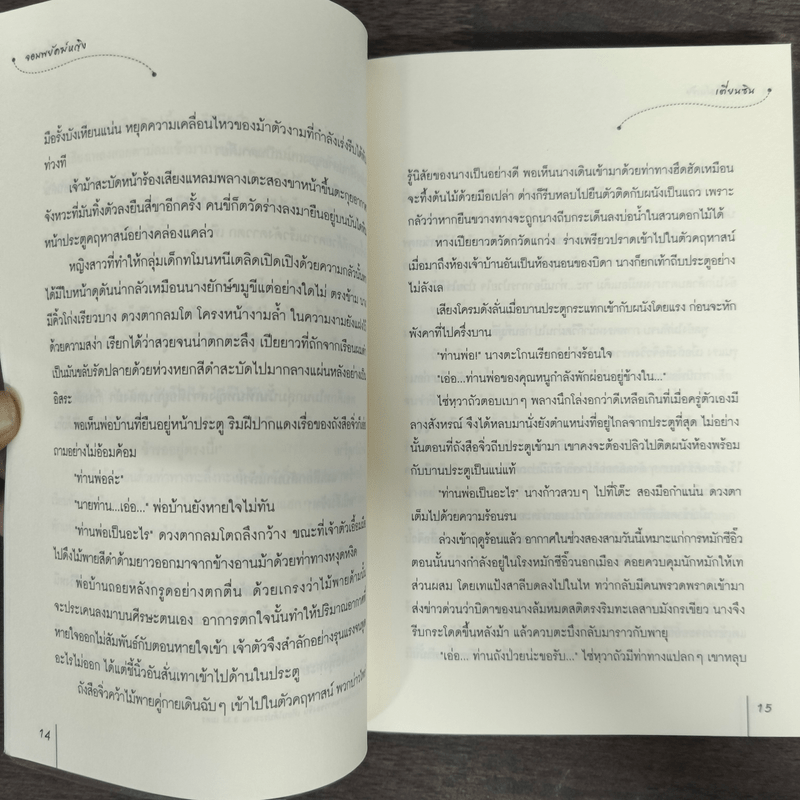 จอมพยัคฆ์หญิง ชุด โรงเตี๊ยมอลเวง - เตี่ยนซิน