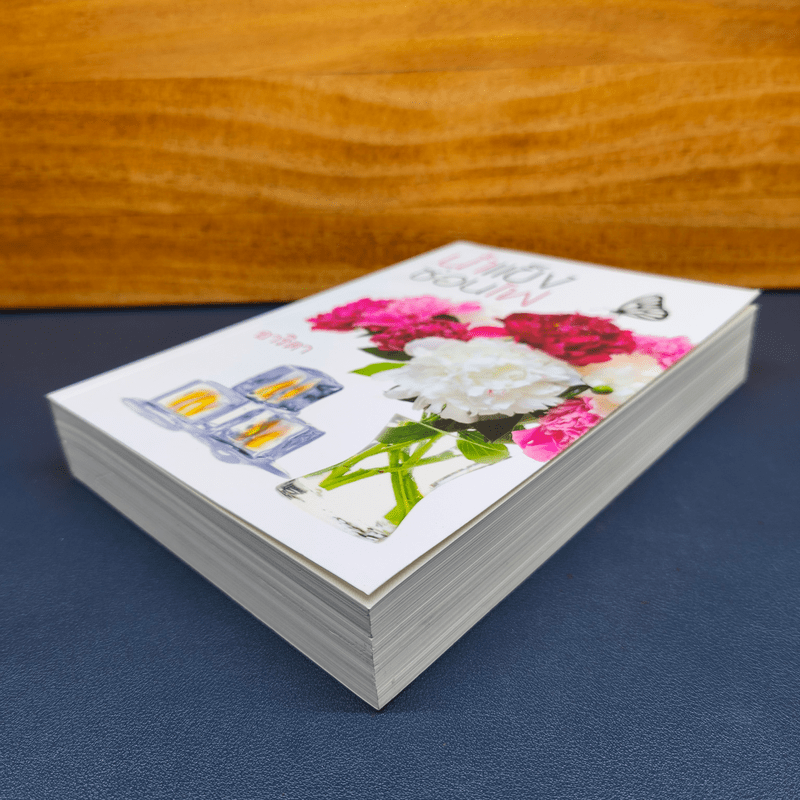 น้ำแข็งซ่อนไฟ - อาริตา