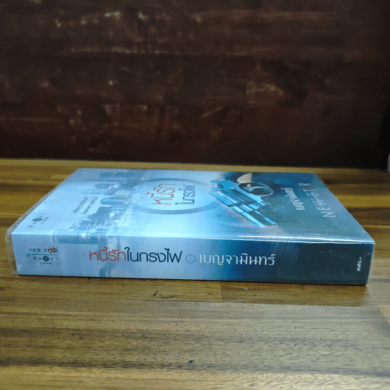 หนี้รักในกรงไฟ - เบญจามินทร์