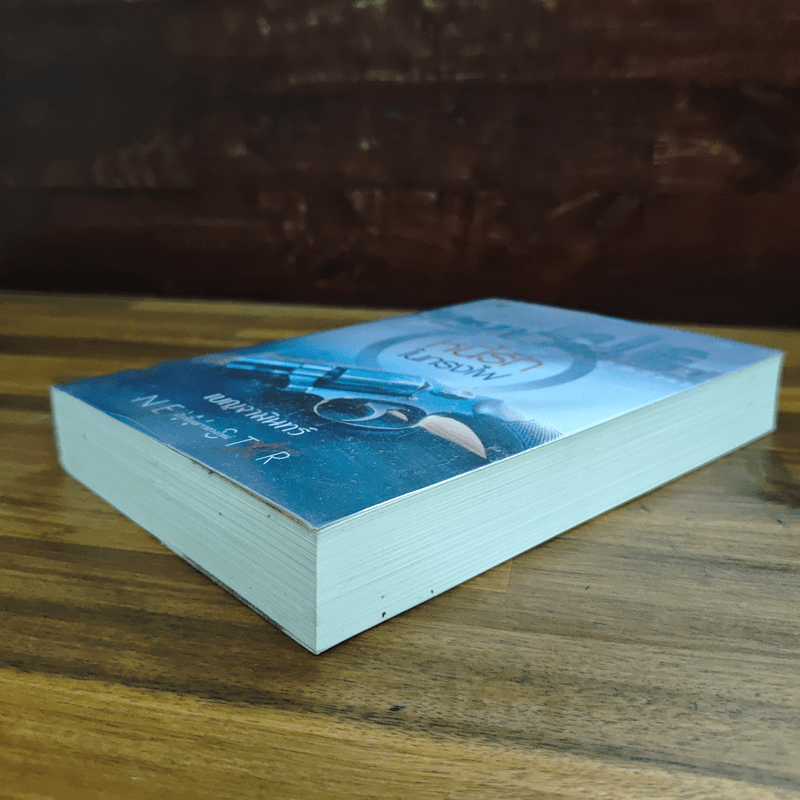 หนี้รักในกรงไฟ - เบญจามินทร์