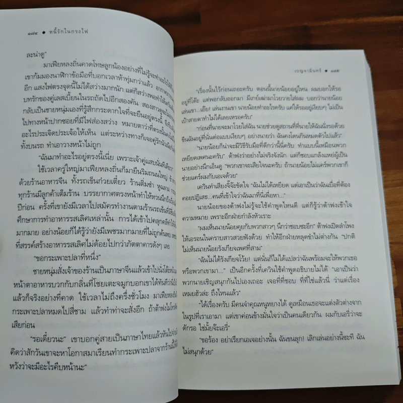 หนี้รักในกรงไฟ - เบญจามินทร์