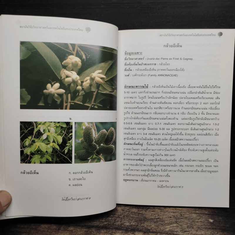 ไม้เลื้อยในป่าสะแกราช - ดร.ปิยะ เฉลิมกลิ่น