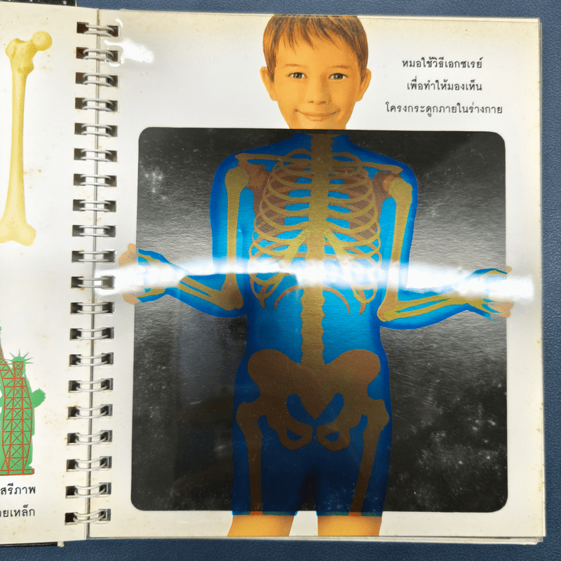 ร่างกาย ชุด หนูน้อยนักสำรวจ