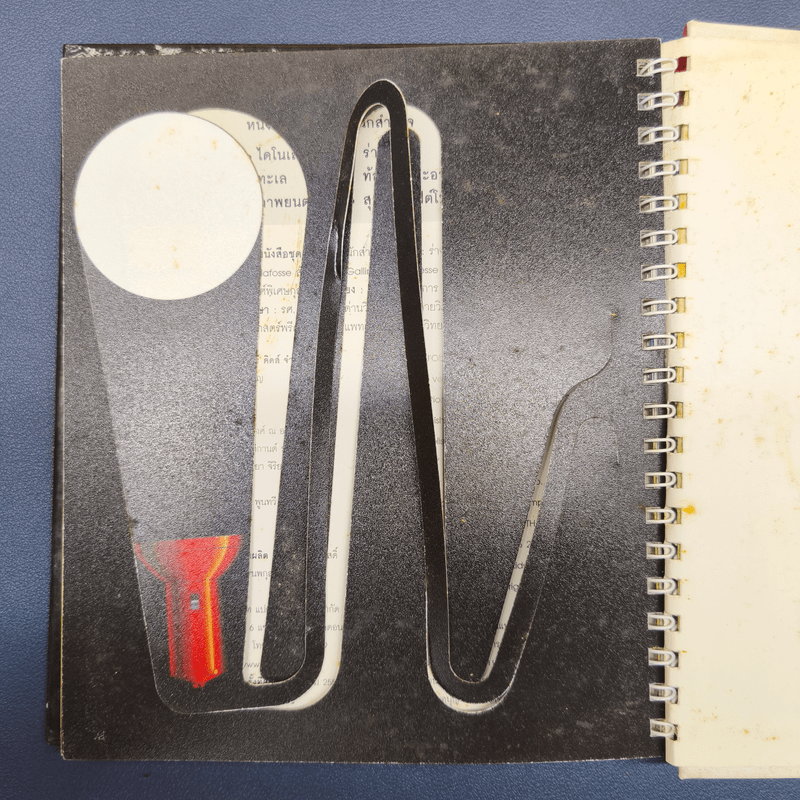 ร่างกาย ชุด หนูน้อยนักสำรวจ