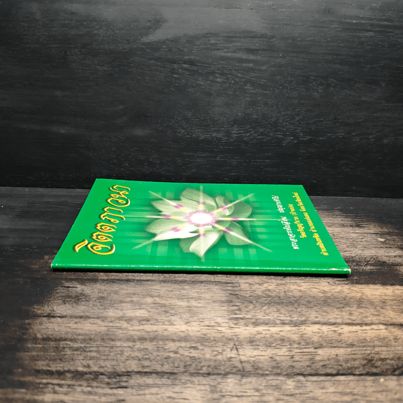 จิตตภาวนา - พระอาจารย์เปลี่ยน ปญฺญาปทีโป