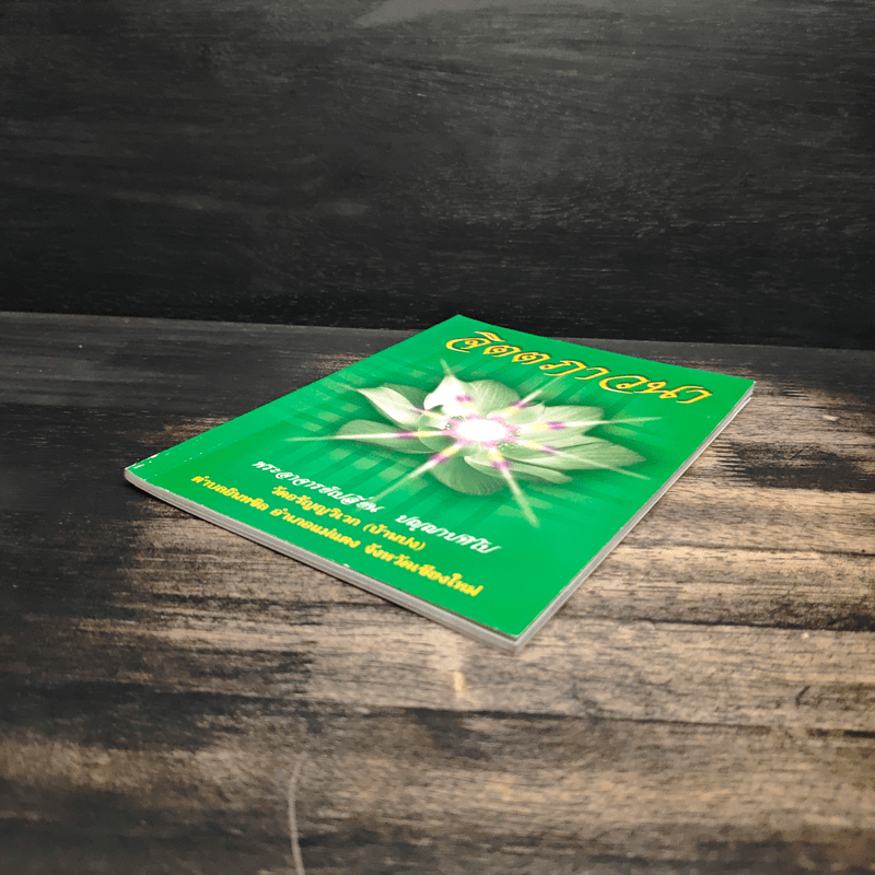 จิตตภาวนา - พระอาจารย์เปลี่ยน ปญฺญาปทีโป