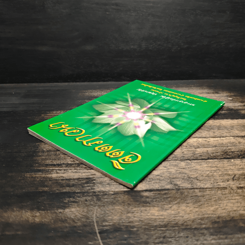 จิตตภาวนา - พระอาจารย์เปลี่ยน ปญฺญาปทีโป