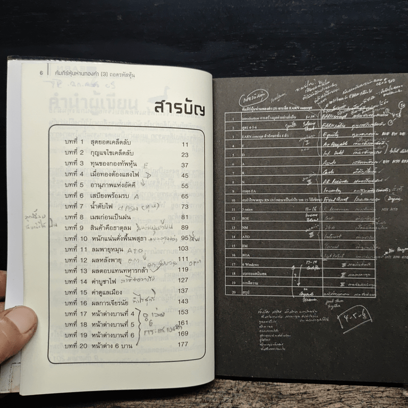 คัมภีร์หุ้นห่านทองคำ ถอดรหัสหุ้น - เทพ รุ่งธนาภิรมย์