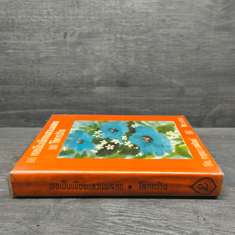 เธอเป็นเพียงแหวนพลอย โลกกว้าง - กาญจนา นาคนันทน์